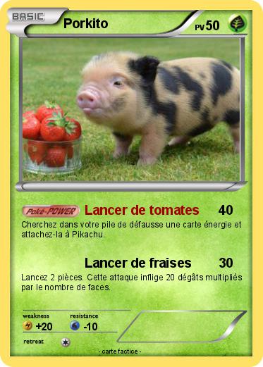 Pokemon Porkito