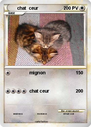 Pokemon chat  ceur