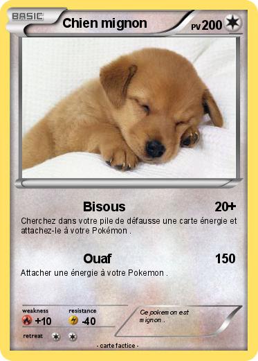 Pokemon Chien mignon