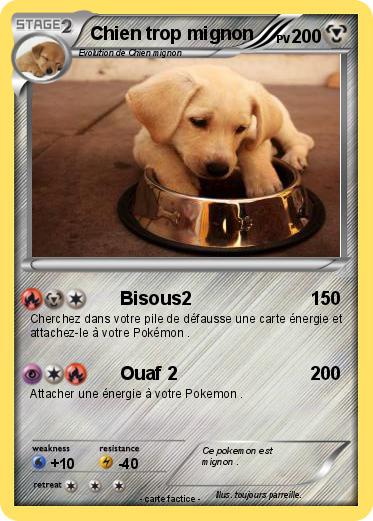 Pokemon Chien trop mignon