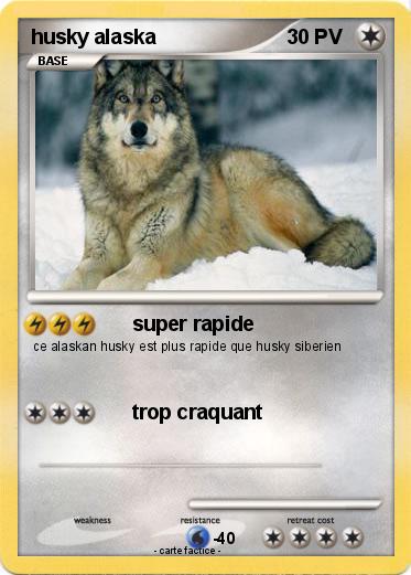 Pokemon husky alaska