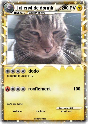 Pokemon j ai envi de dormir