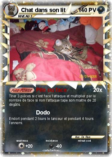 Pokemon Chat dans son lit