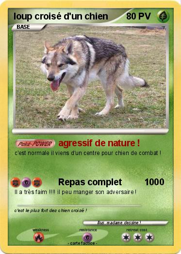 Pokemon loup croisé d'un chien