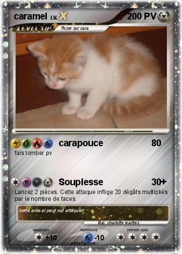 Pokemon caramel