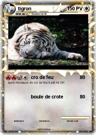 Pokemon tigron