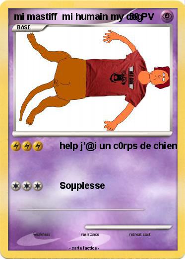 Pokemon mi mastiff  mi humain my dog