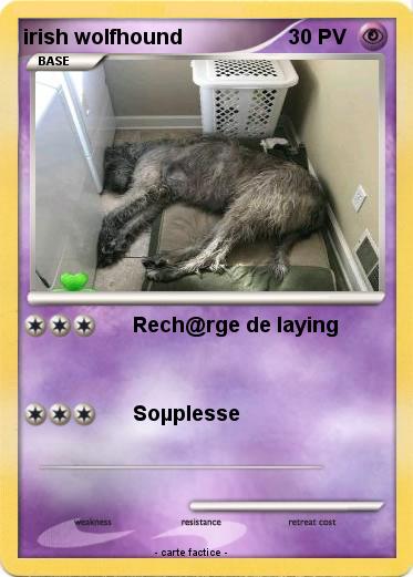 Pokemon irish wolfhound