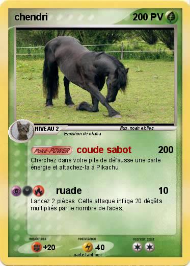 Pokemon chendri