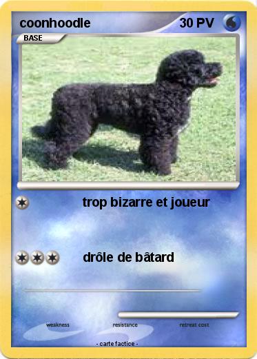 Pokemon coonhoodle