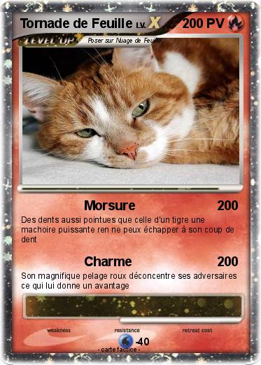 Pokemon Tornade de Feuille