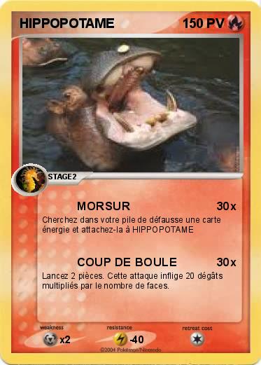 Pokemon HIPPOPOTAME