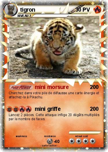 Pokemon tigron
