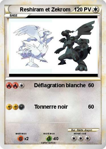 Pokemon Reshiram et Zekrom