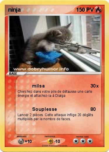 Pokemon ninja
