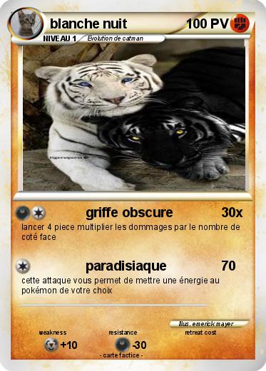 Pokemon blanche nuit