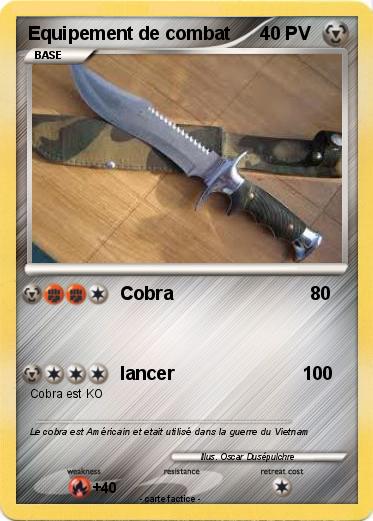 Pokemon Equipement de combat