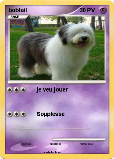 Pokemon bobtail