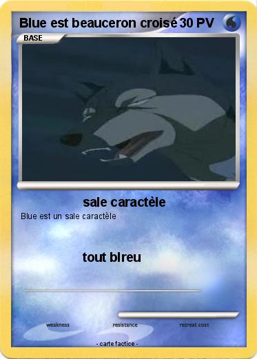 Pokemon Blue est beauceron croisé