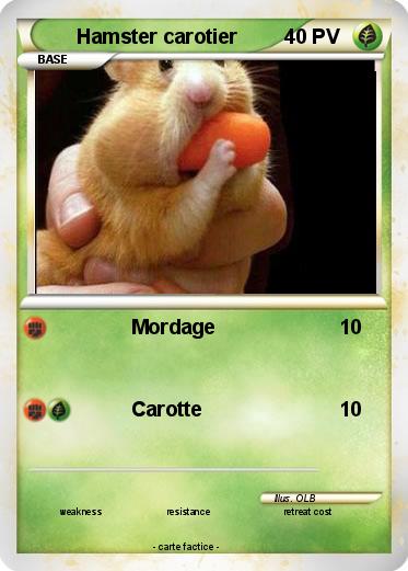 Pokemon Hamster carotier