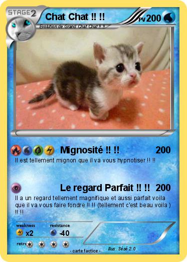 Pokemon Chat Chat !! !!