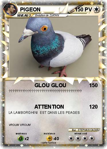 Pokemon PIGEON