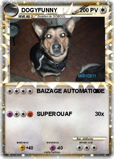 Pokemon DOGYFUNNY