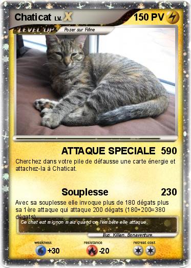 Pokemon Chaticat