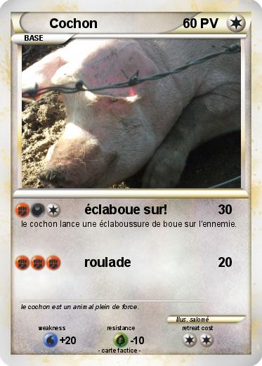 Pokemon Cochon