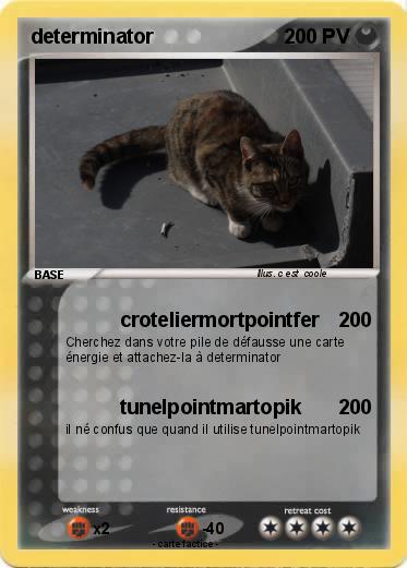 Pokemon determinator