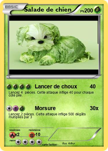 Pokemon Salade de chien