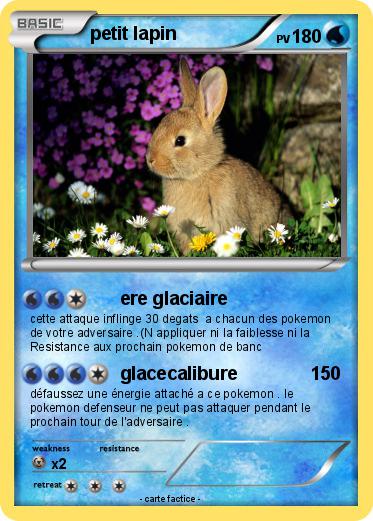 Pokemon petit lapin
