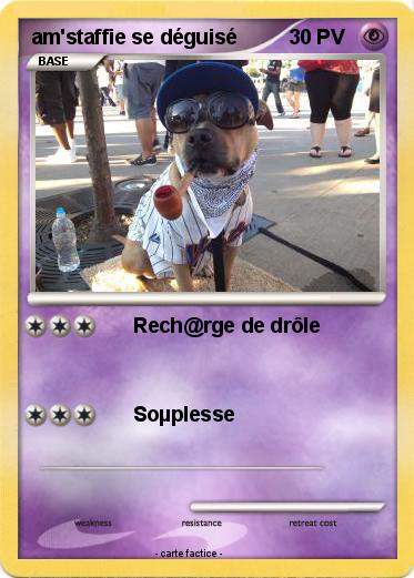 Pokemon am'staffie se déguisé