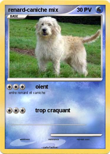 Pokemon renard-caniche mix