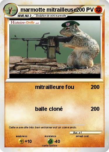 Pokemon marmotte mitrailleuse