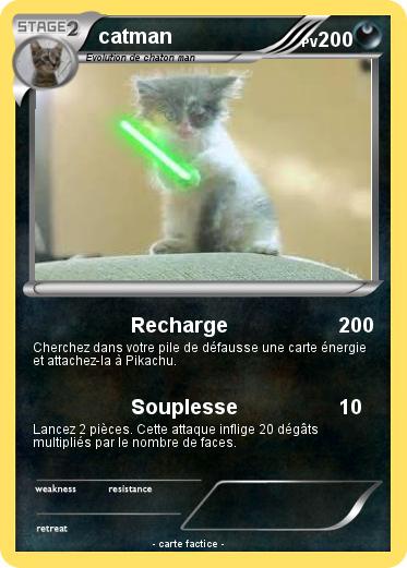 Pokemon catman