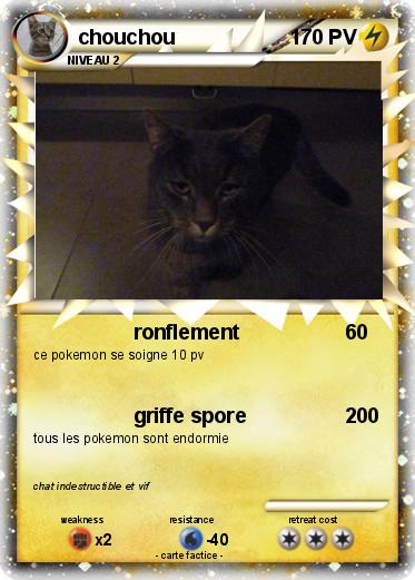 Pokemon chouchou