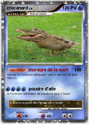 Pokemon crocanard