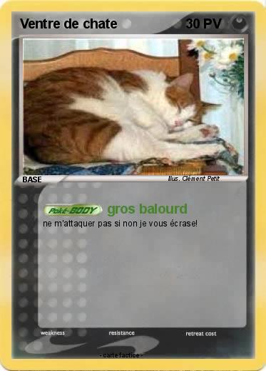 Pokemon Ventre de chate