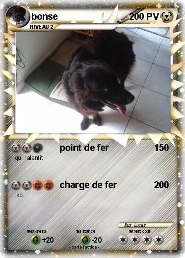Pokemon bonse