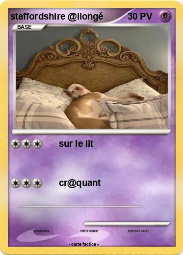 Pokemon staffordshire @llongé