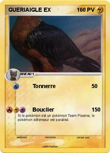 Pokemon GUERIAIGLE EX