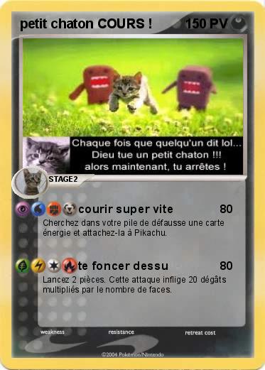 Pokemon petit chaton COURS !