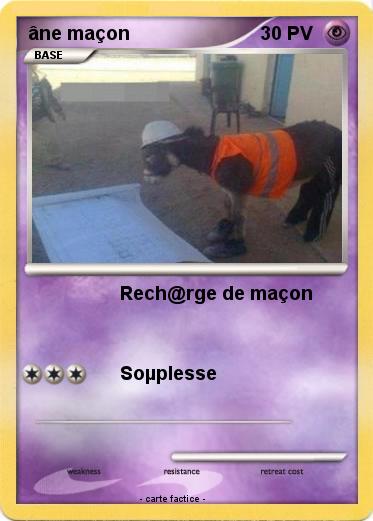 Pokemon âne maçon