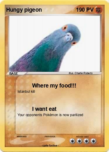 Pokemon Hungy pigeon