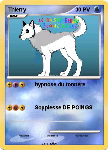 Pokemon Thierry