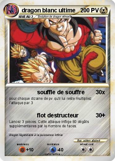 Pokemon dragon blanc ultime