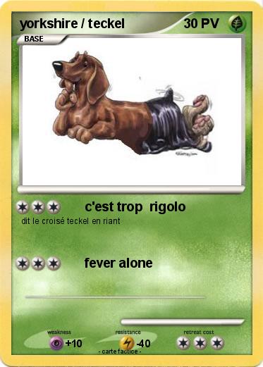Pokemon yorkshire / teckel