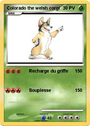 Pokemon Colorado the welsh corgi