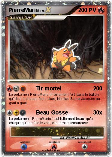 Pokemon PierreMarie
